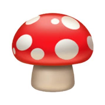 Mushroom Finance's image